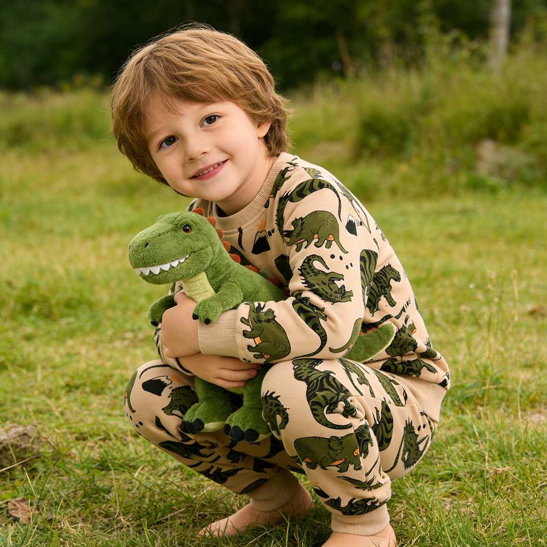 Nieuw🔥 Biologisch Katoen Kindersweatshirt-set Dinosaurus - Trendy Toddler-outfit 2026