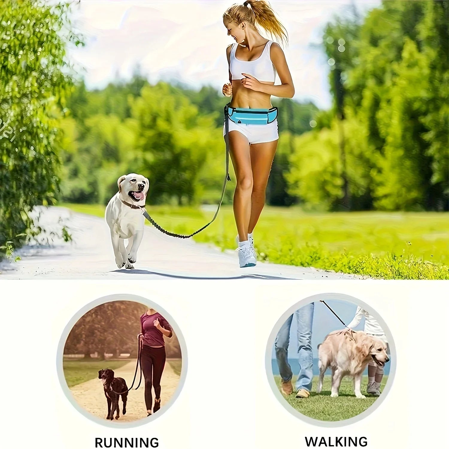 Reversible dog leash with zippered pouch