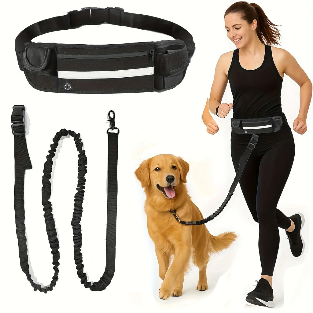 Reversible dog leash with zippered pouch