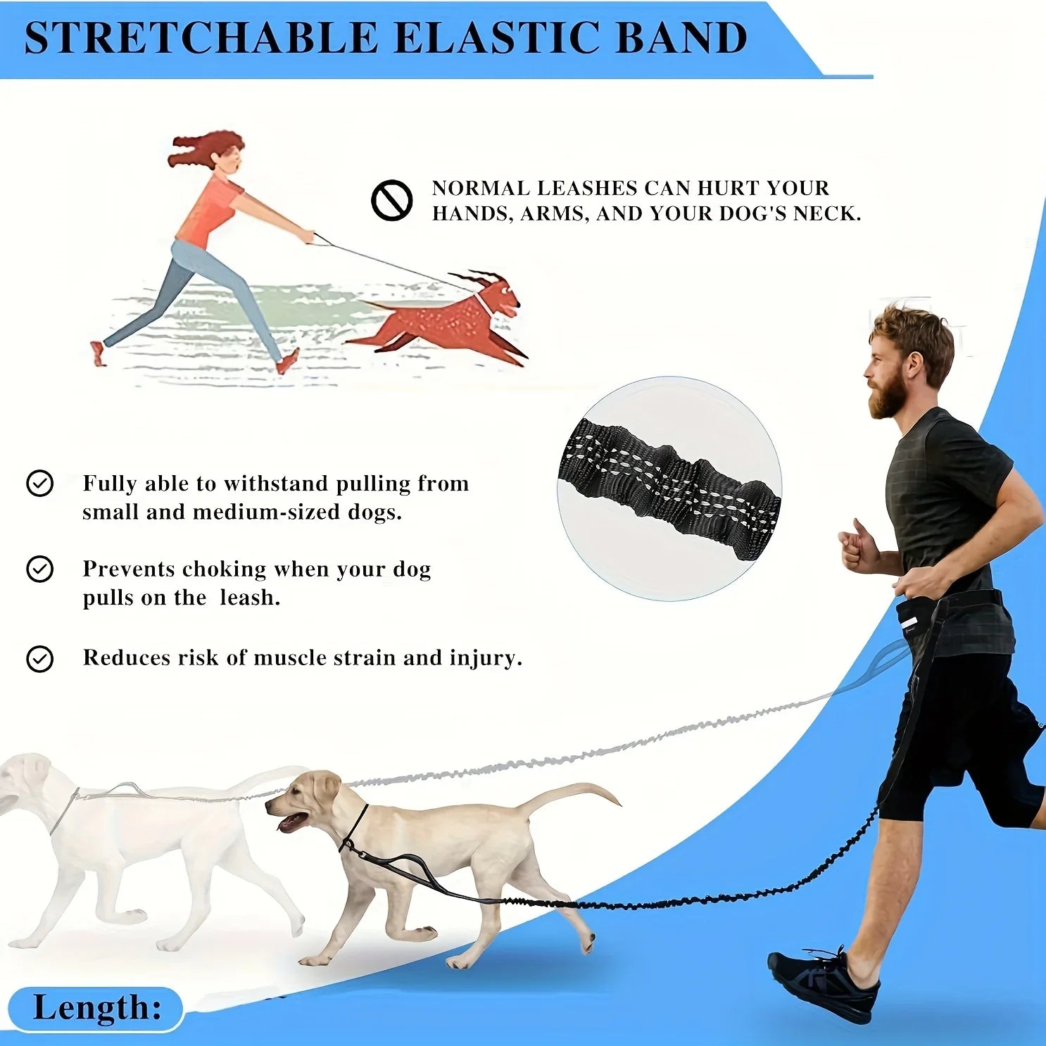 Reversible dog leash with zippered pouch
