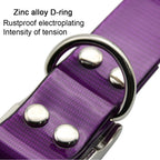 Pet Nylon Collars