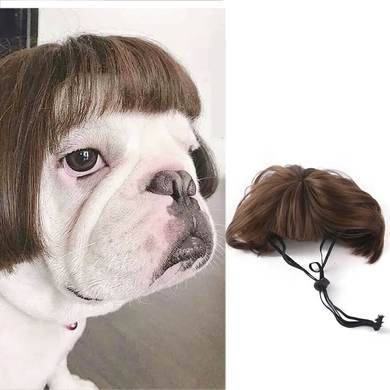 Pet Cosplay Wigs