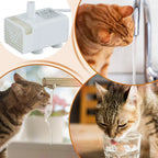 Pet Water Fountain Pump