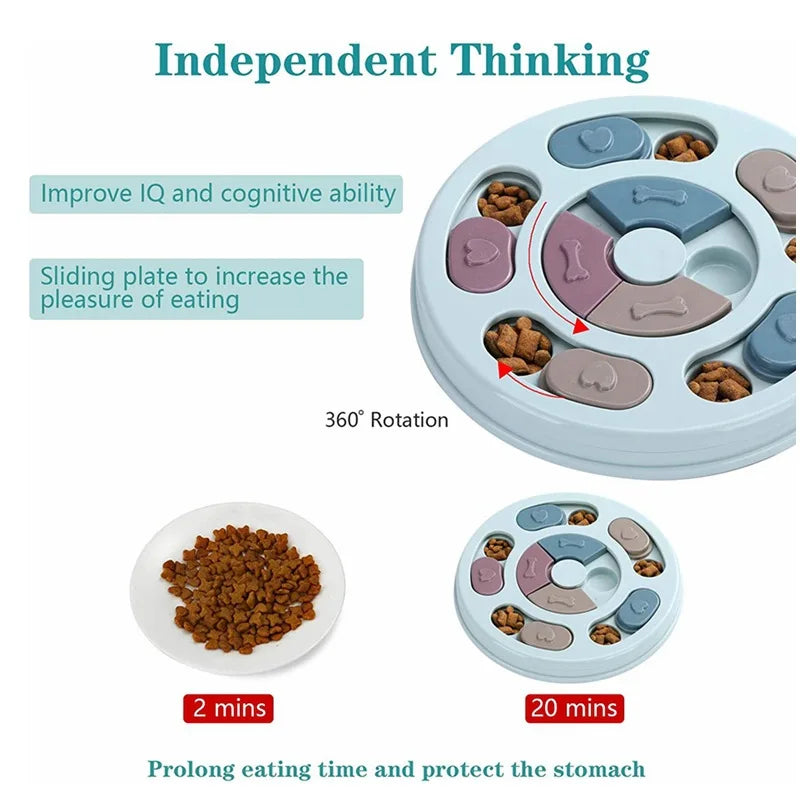 Dog Food Educational Bowl, Slow Food Training