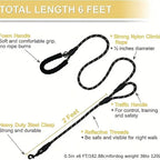 Pet 6ft Leash