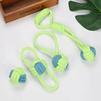 Dog Toys