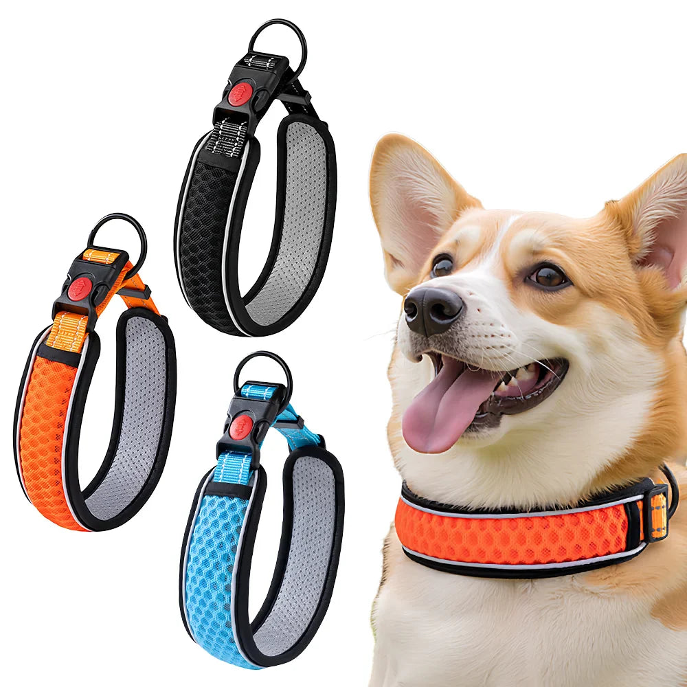 Pet Collar, Adjustable Neck Strap