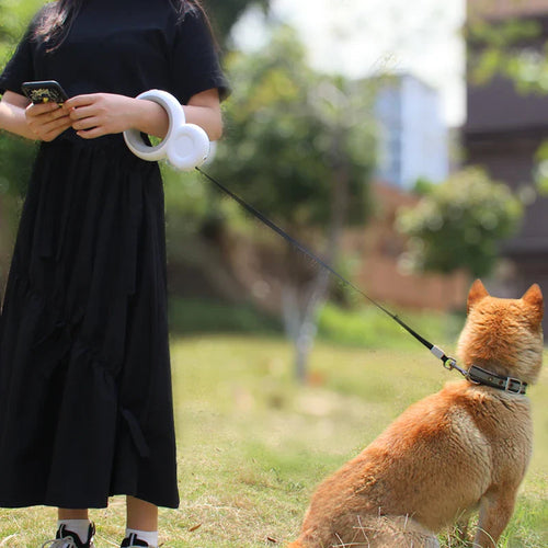 4-in-1 Luxury Fashion Pet Leash
