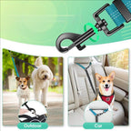 Double Leash