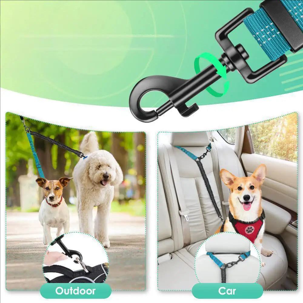 Double Leash
