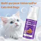 Pet Dry Shampoo Deodorizing