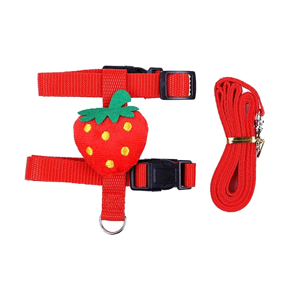 Easy pet Harness with Leash