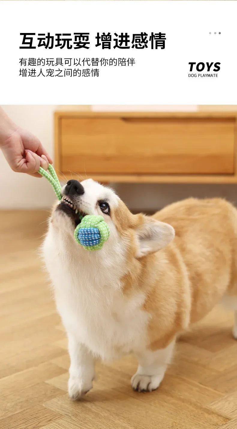 Durable chew-resistant pet toys