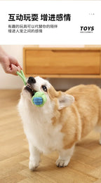 Durable chew-resistant pet toys