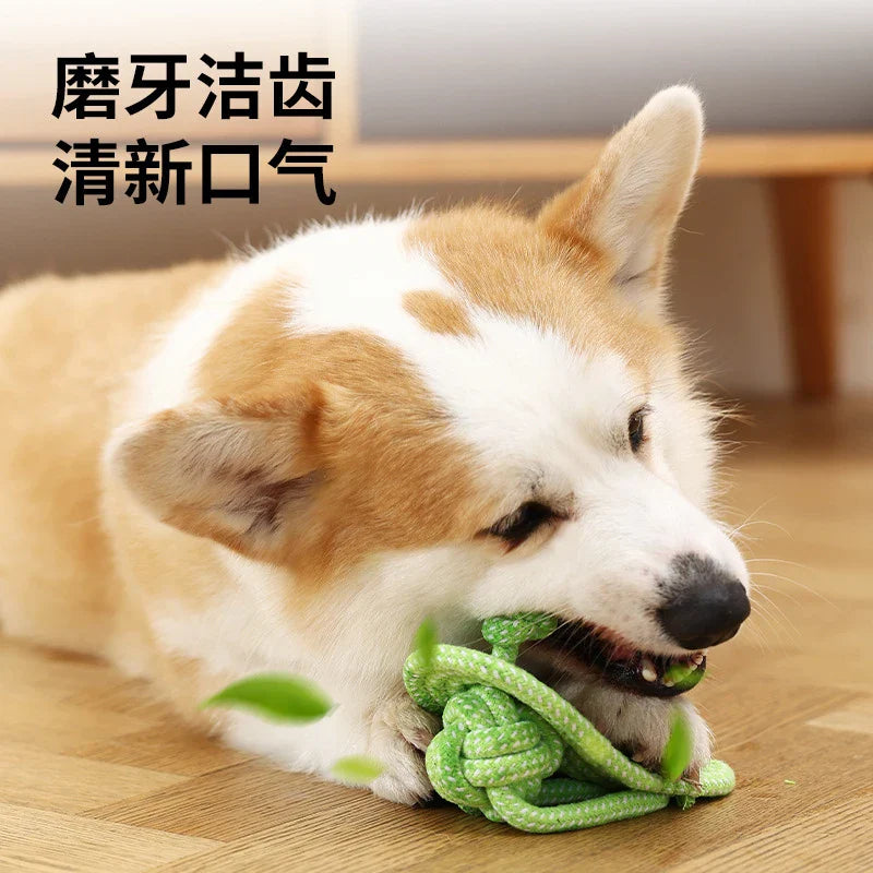 Durable chew-resistant pet toys
