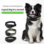 Dog Training Collars