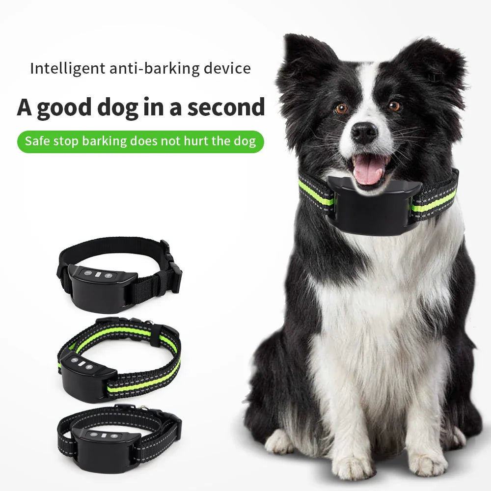 Dog Training Collars