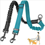 Double Leash
