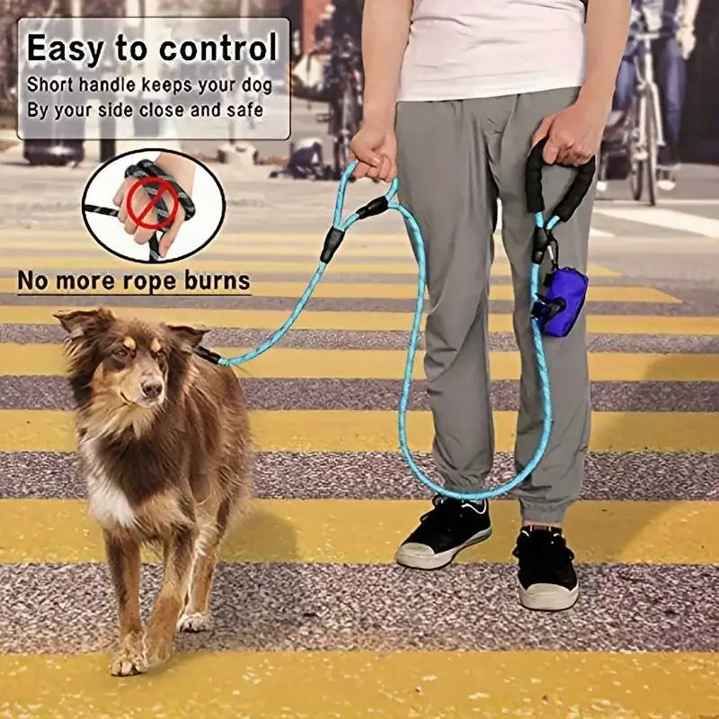 Pet 6ft Leash