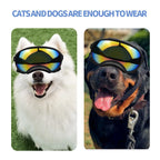 Medium And Large Goggles