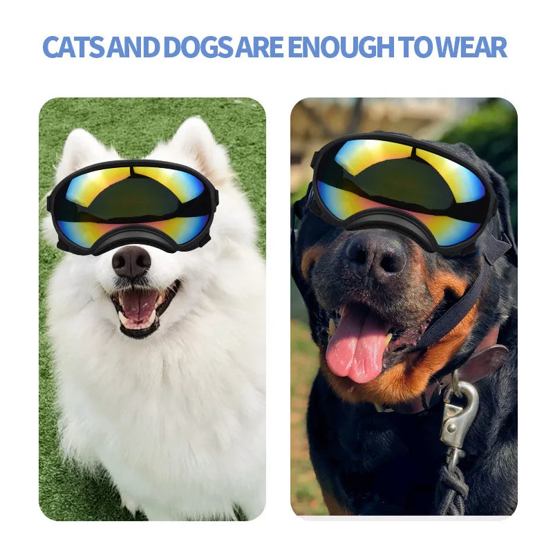 Medium And Large Goggles