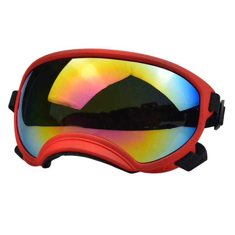 Medium And Large Goggles