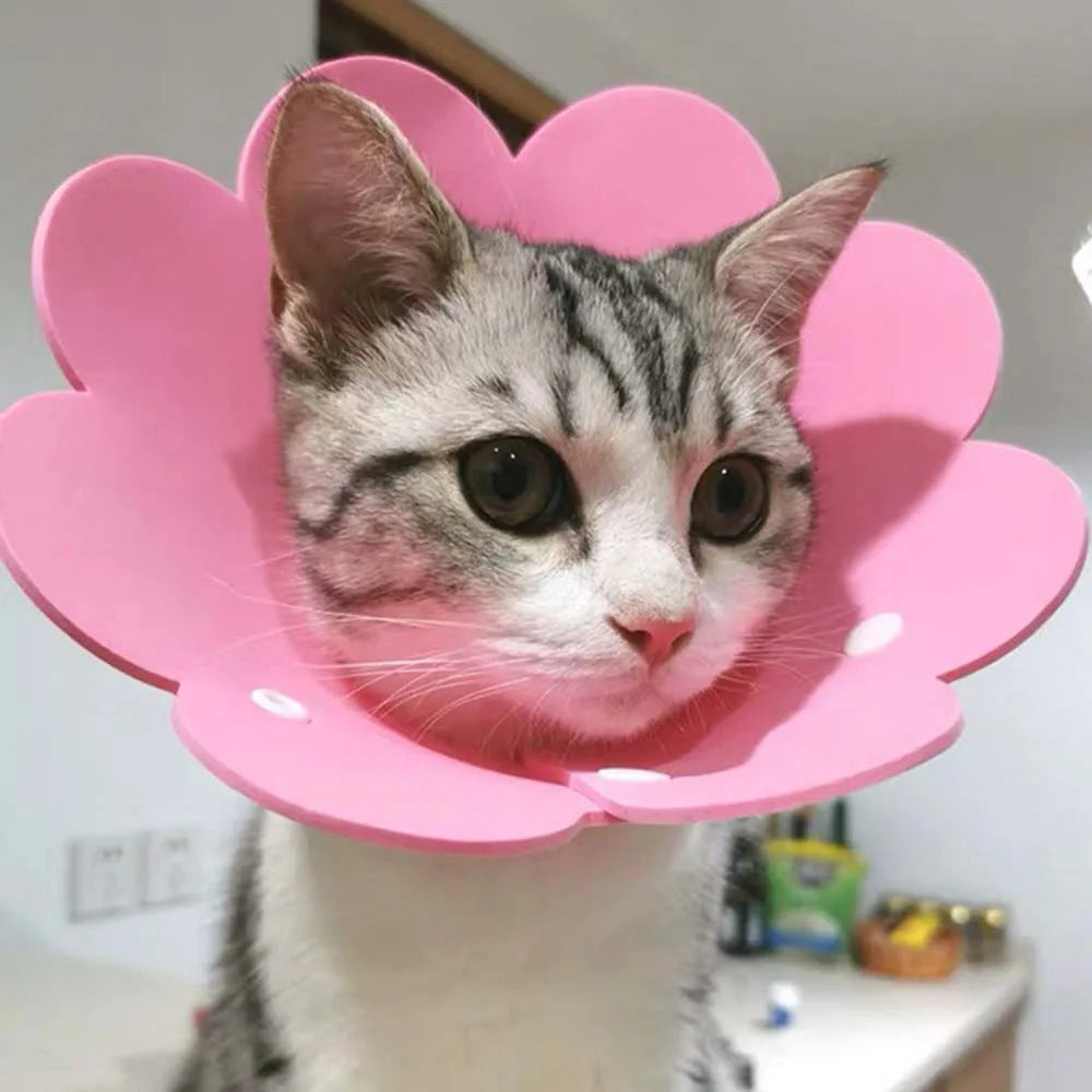 Cute Pet Protective Collars
