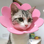 Cute Pet Protective Collars