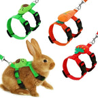 Easy pet Harness with Leash