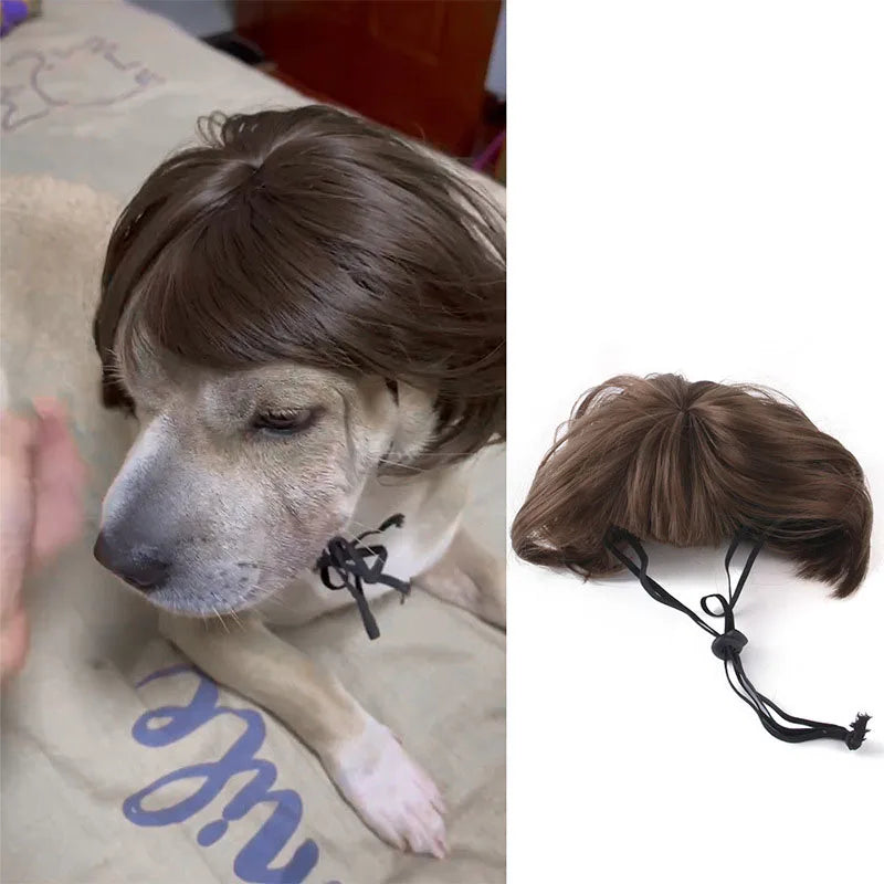 Pet Cosplay Wigs