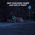 Pet LED Collar