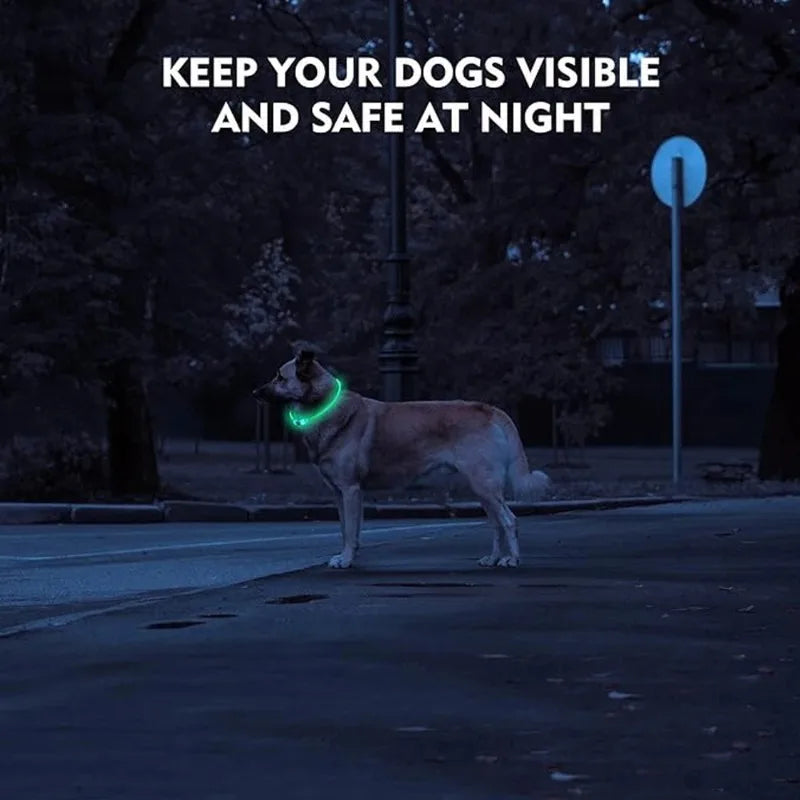 Pet LED Collar