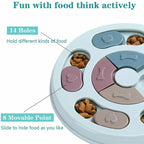 Dog Food Educational Bowl, Slow Food Training