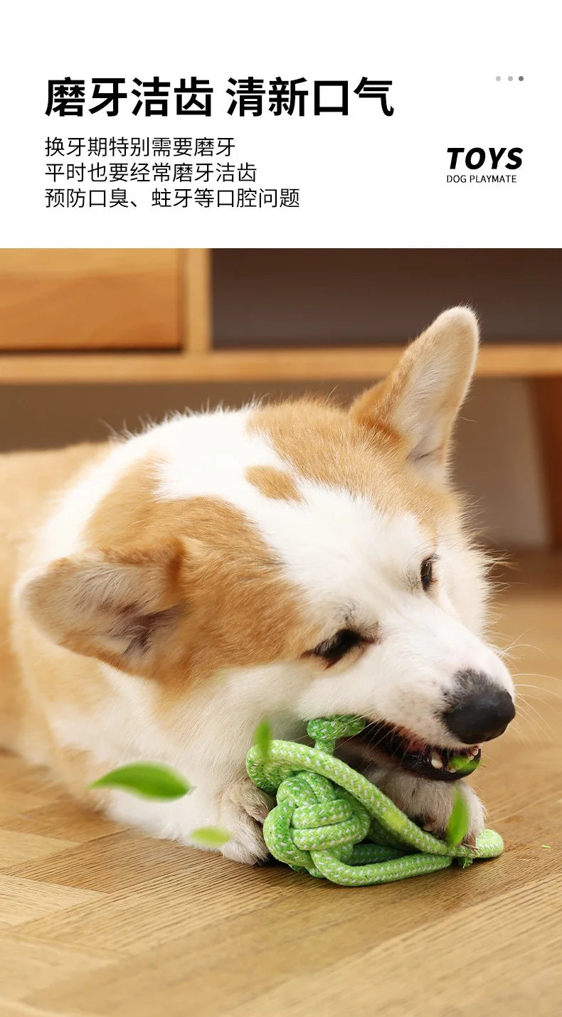 Durable chew-resistant pet toys