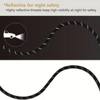 Pet 6ft Leash