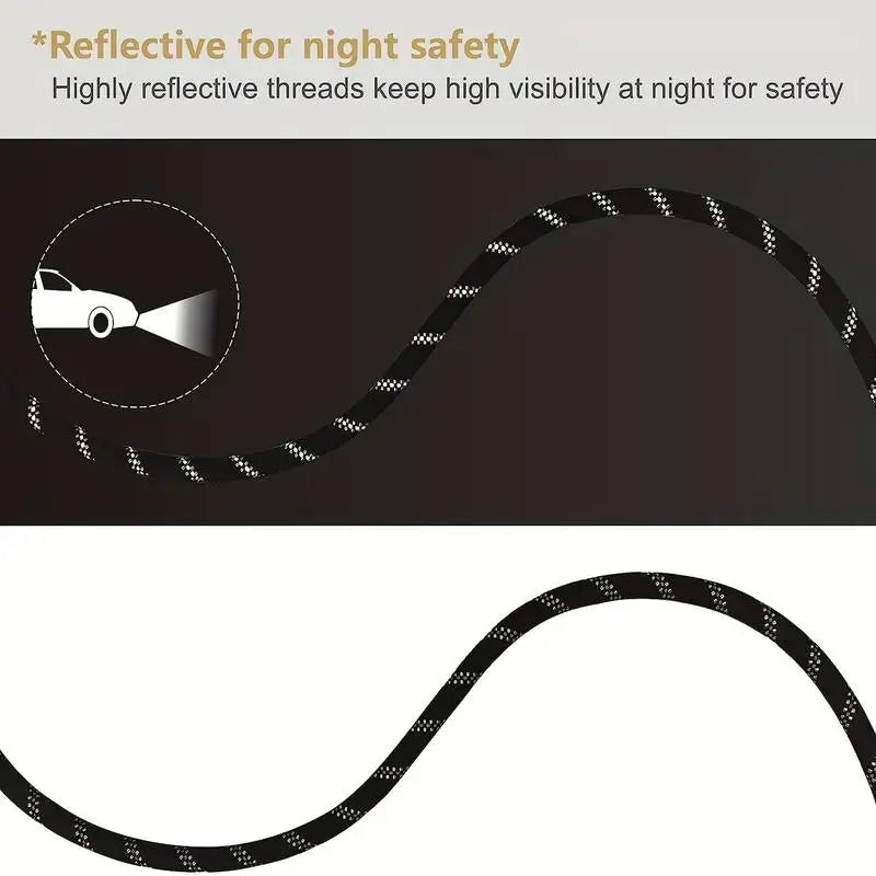 Pet 6ft Leash