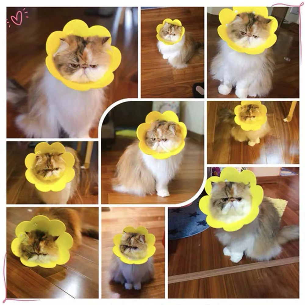Cute Pet Protective Collars