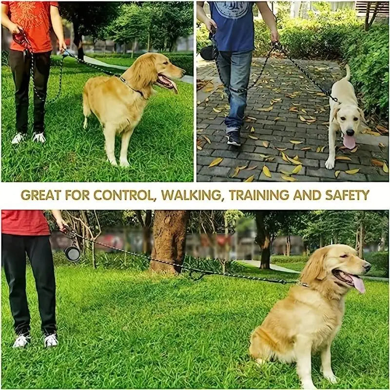 Pet 6ft Leash