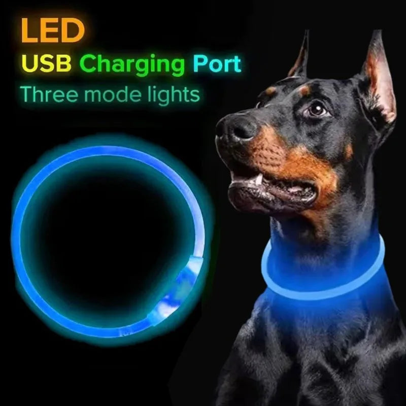 Pet LED Collar