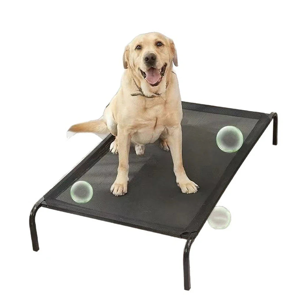 Elevated Dog Bed / Dog Nest