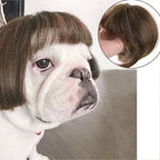 Pet Cosplay Wigs