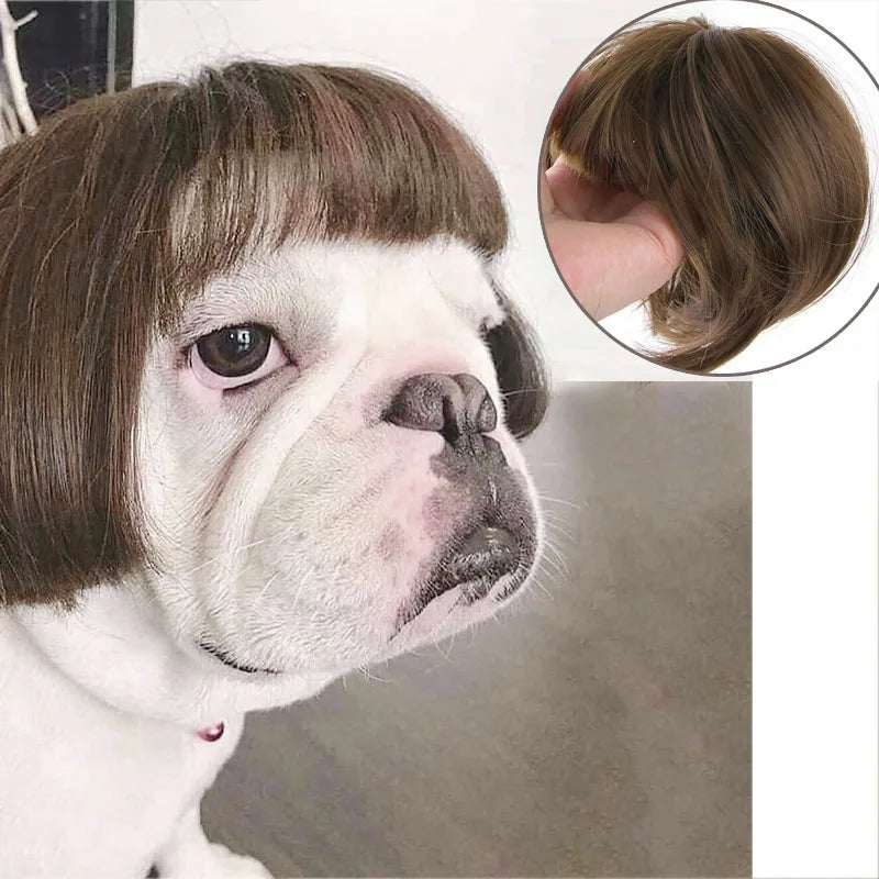 Pet Cosplay Wigs