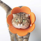 Cute Pet Protective Collars