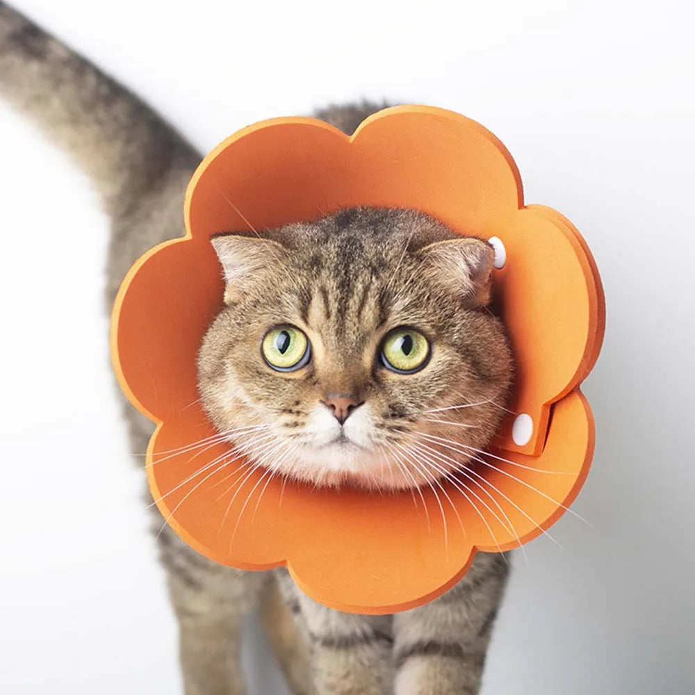 Cute Pet Protective Collars