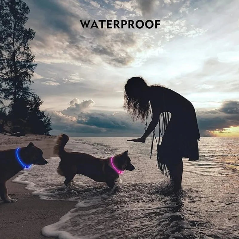 Pet LED Collar