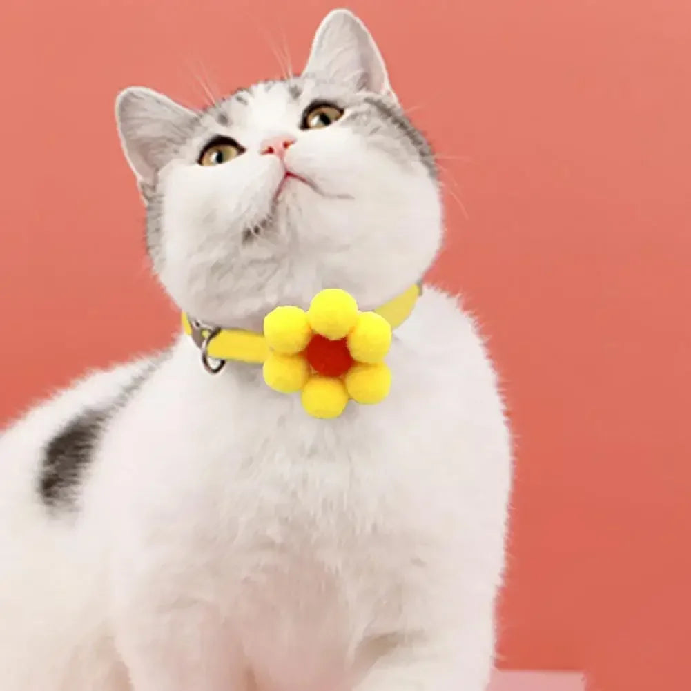 Cute Cat Collar
