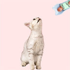 Squeeze Spoon Cat Feeder