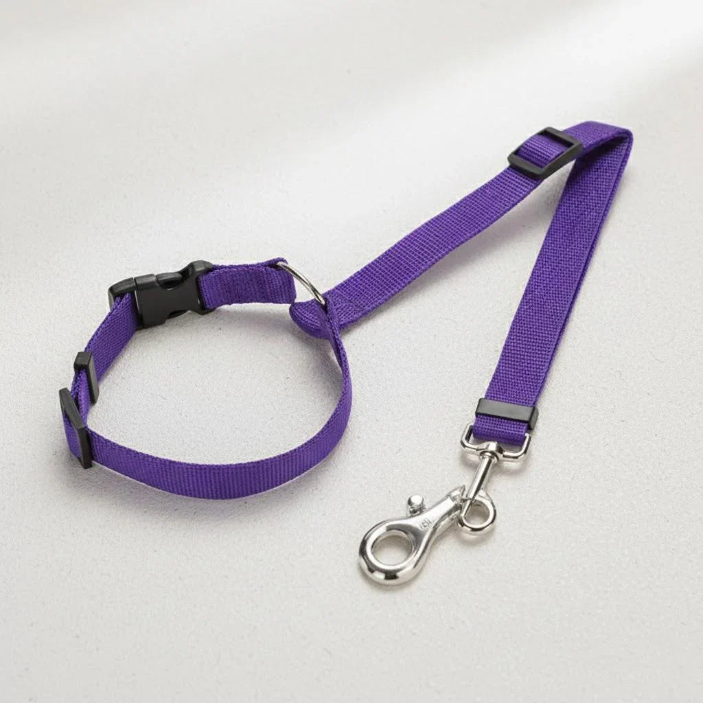 Adjustable Pet Car Seat leash