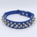 Pet Punk Rivet Spiked Collar