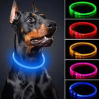 Pet LED Collar